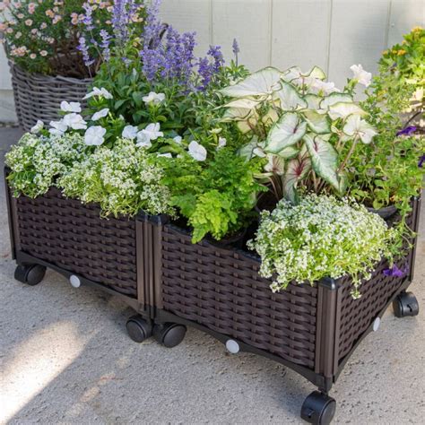 raised planter box with wheels